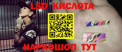 гидропоника Пенза
