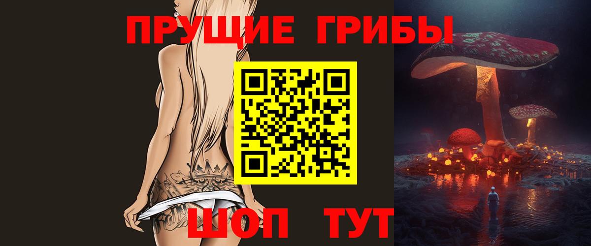 Псилоцибиновые грибы Psilocybe Ступино